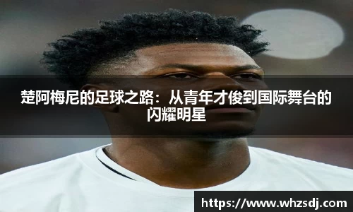 楚阿梅尼的足球之路：从青年才俊到国际舞台的闪耀明星